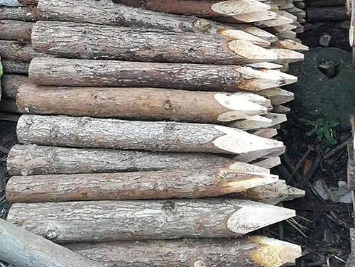 短木桩在古建筑修复中的传统工艺