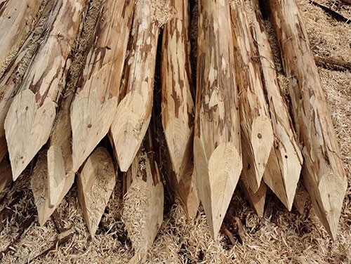 景观木桩在夜间照明中的设计